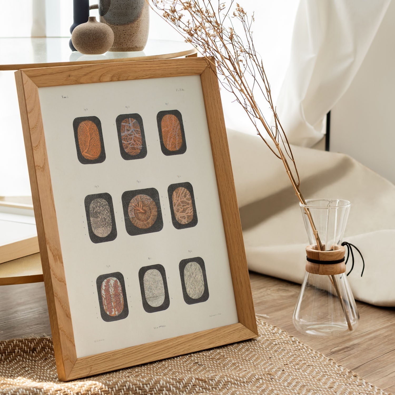 Eye, dissected and shown under a microscope-Artwork-Nacnic-Nacnic Estudio SL