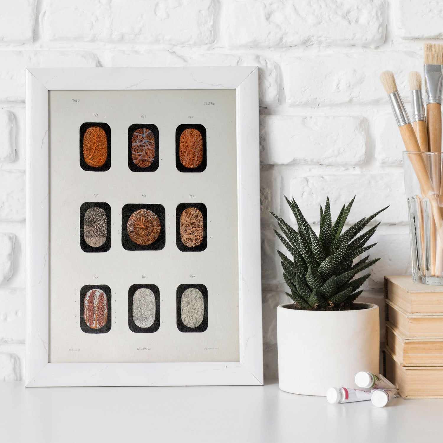 Eye, dissected and shown under a microscope-Artwork-Nacnic-Nacnic Estudio SL