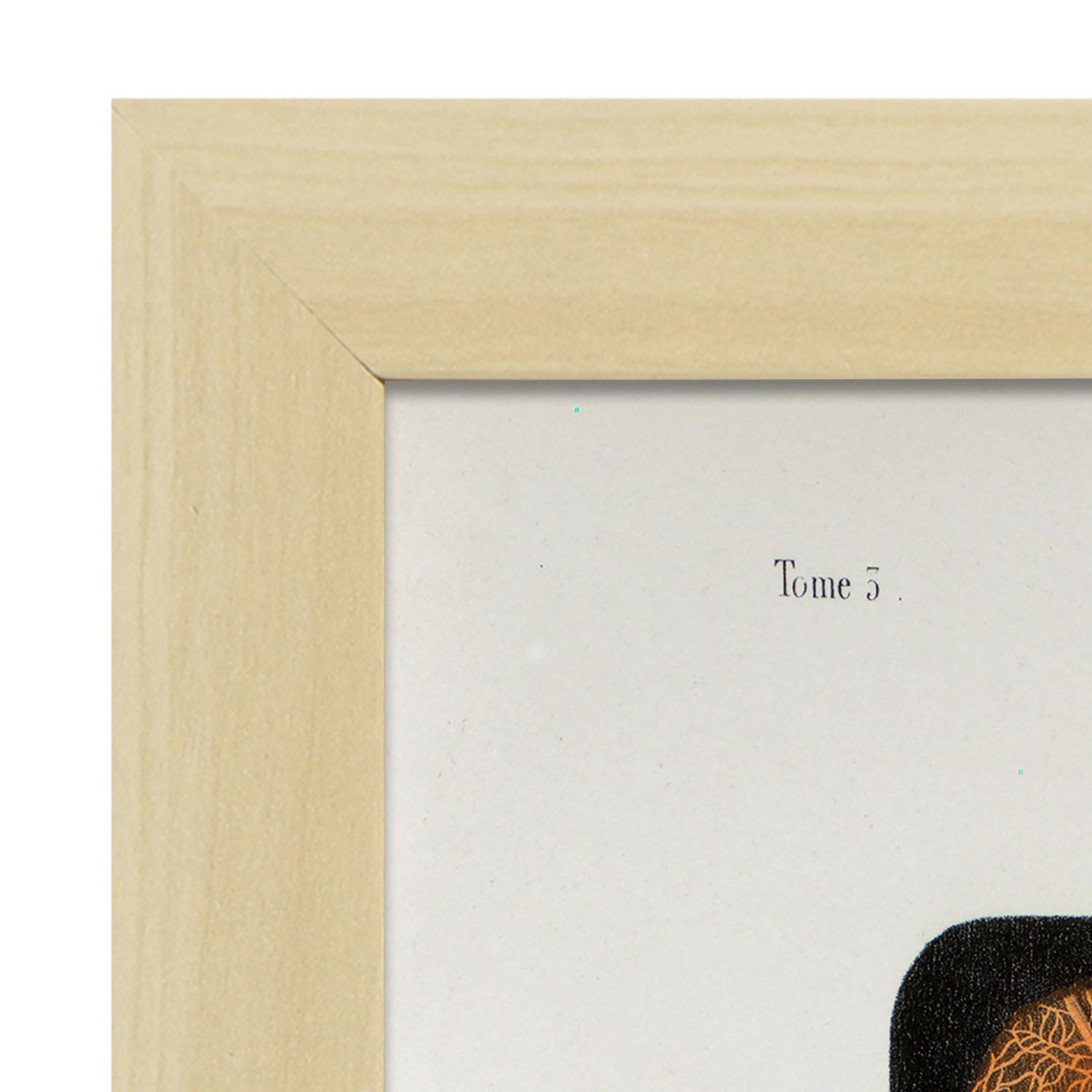 Eye, dissected and shown under a microscope-Artwork-Nacnic-Nacnic Estudio SL