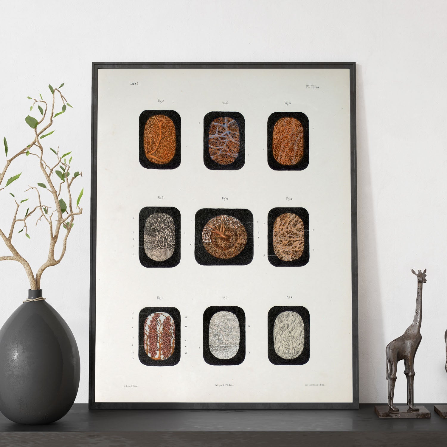 Eye, dissected and shown under a microscope-Artwork-Nacnic-Nacnic Estudio SL