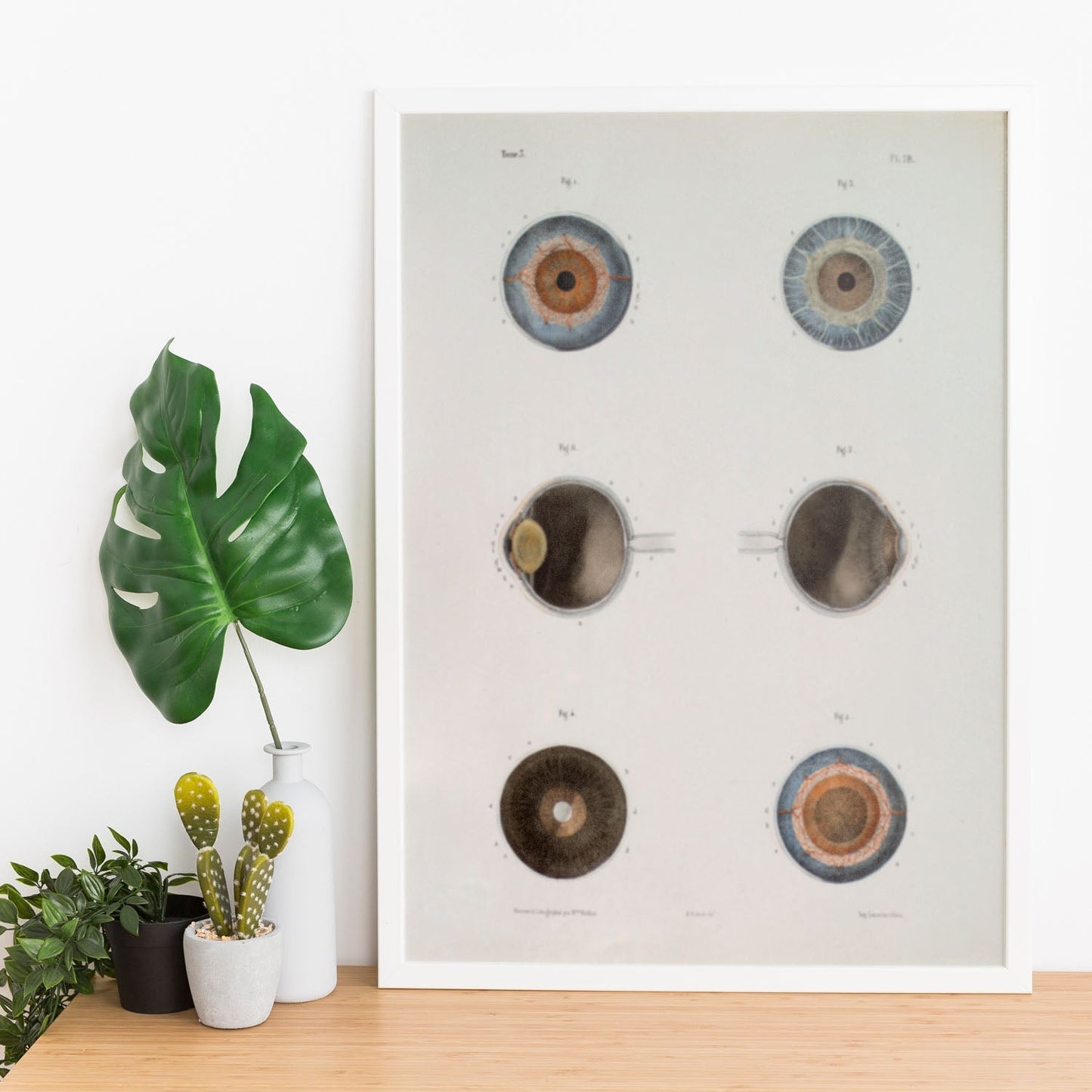 Eye, shown in isolation-Artwork-Nacnic-Nacnic Estudio SL