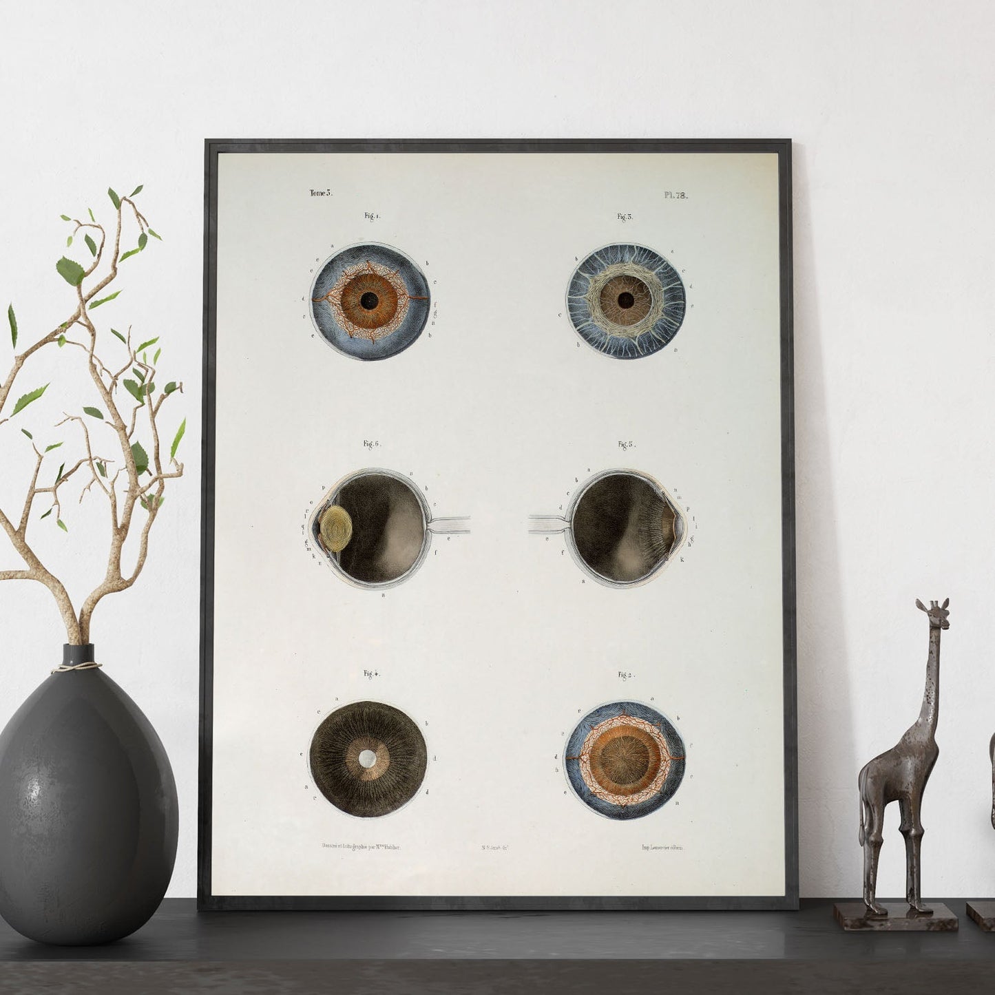 Eye, shown in isolation-Artwork-Nacnic-Nacnic Estudio SL