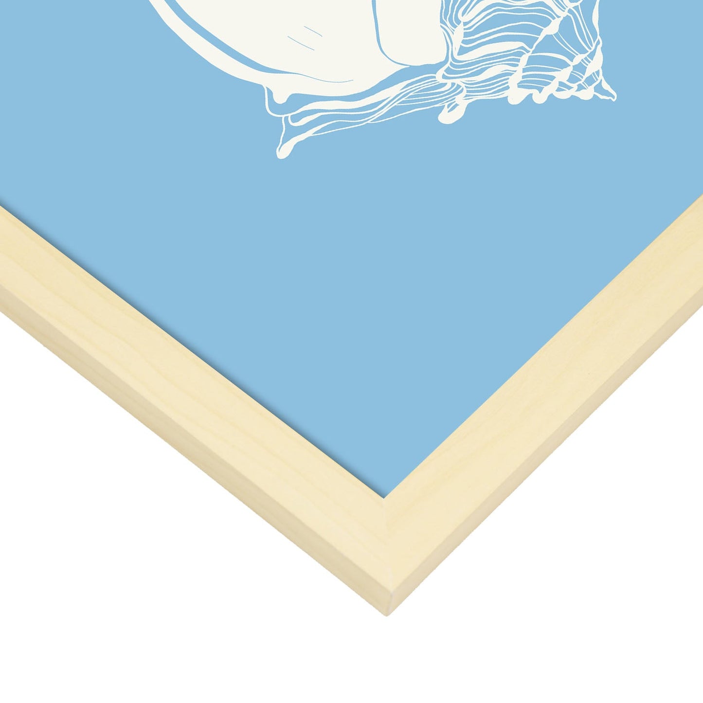 Florida Fighting conch-Artwork-Nacnic-Nacnic Estudio SL