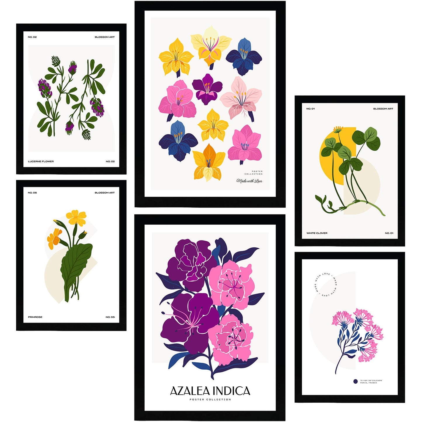 Flower Posters. Chromatic Scale. Nature and Botany-Artwork-Nacnic-Nacnic Estudio SL