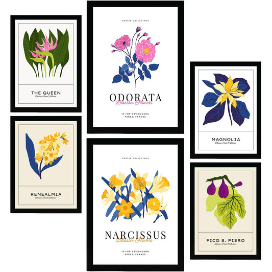 Flower Posters. Narcissus. Nature and Botany-Artwork-Nacnic-Nacnic Estudio SL