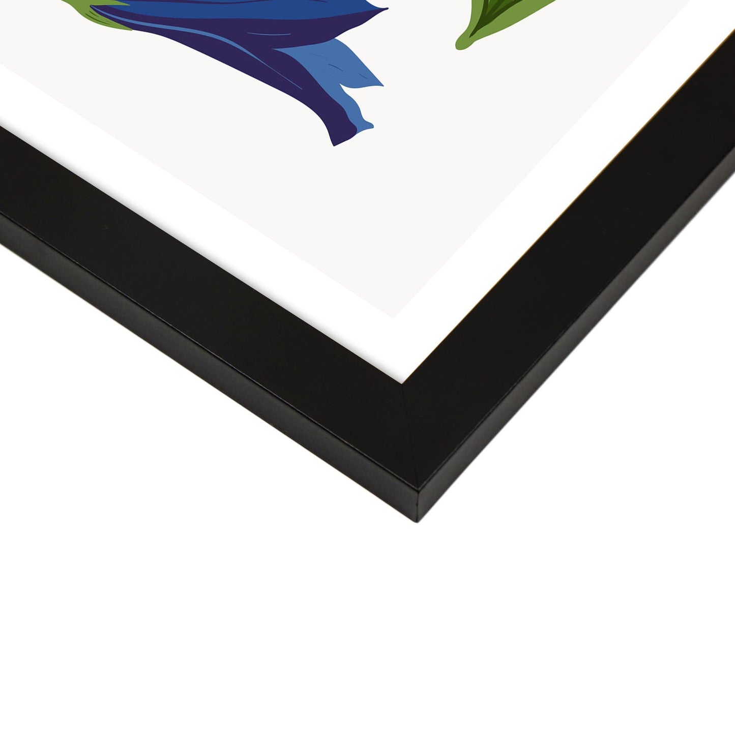 Gentian-Artwork-Nacnic-Nacnic Estudio SL
