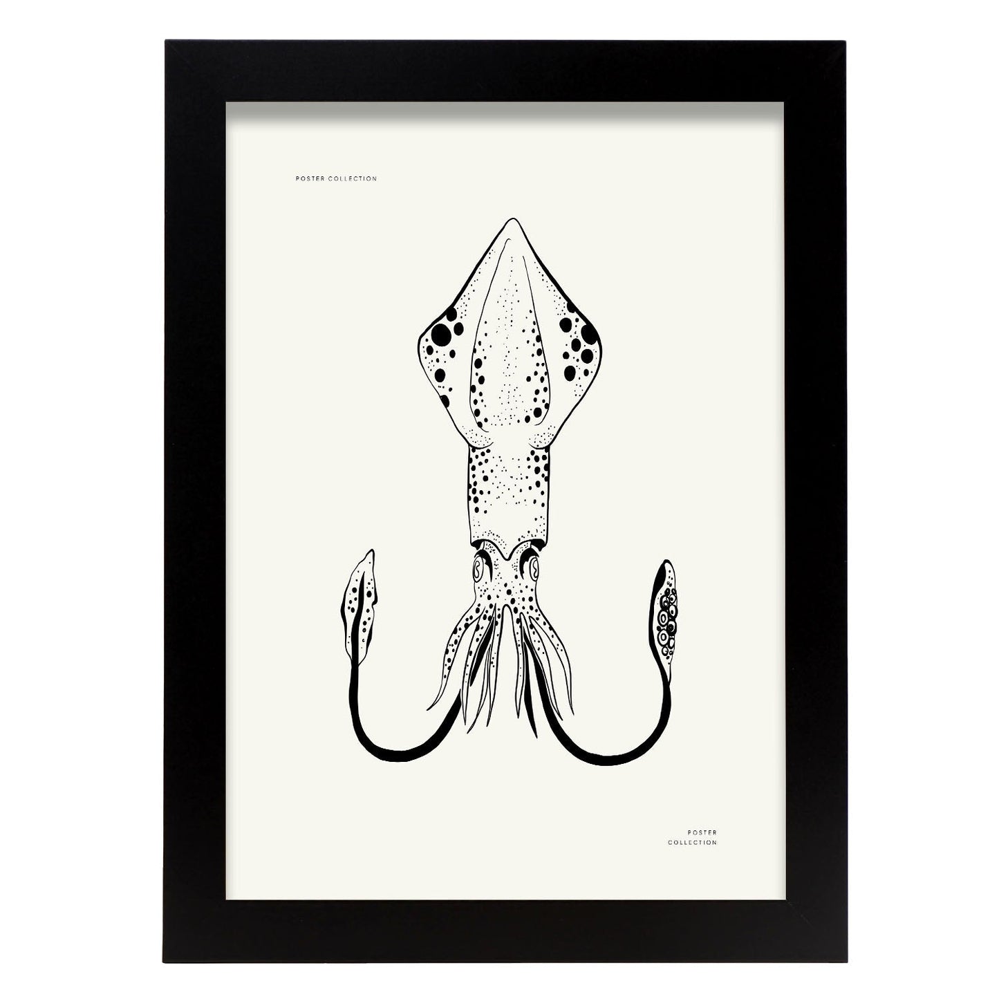 Giant Squid-Artwork-Nacnic-A4-Sin marco-Nacnic Estudio SL