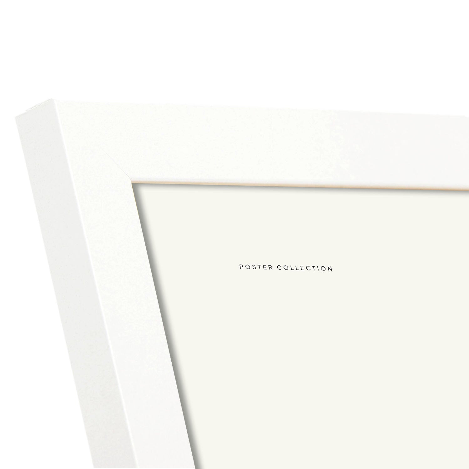 Gladiolus-Artwork-Nacnic-Nacnic Estudio SL