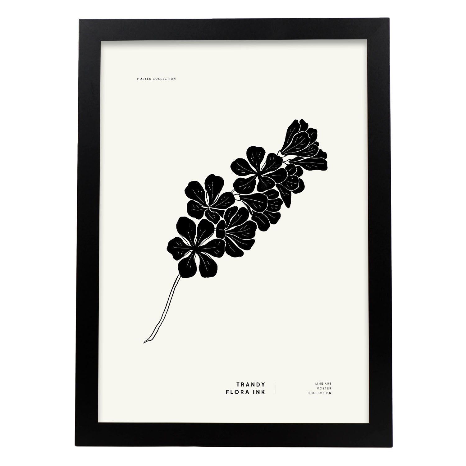 Gladiolus-Artwork-Nacnic-A3-Sin marco-Nacnic Estudio SL