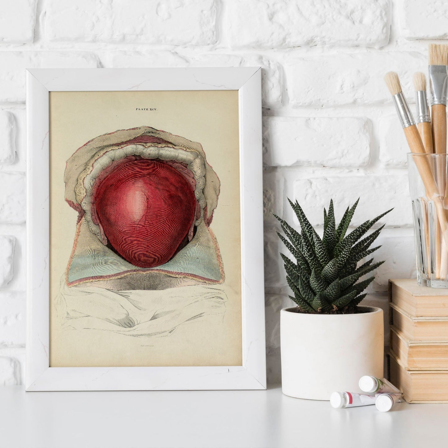 Gravid uterus-Artwork-Nacnic-Nacnic Estudio SL
