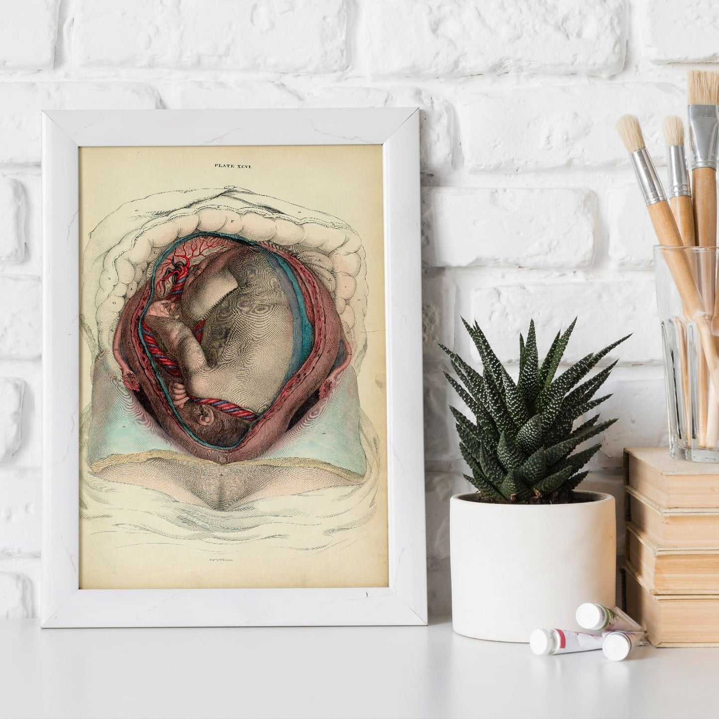 Gravid uterus with fetus-Artwork-Nacnic-Nacnic Estudio SL