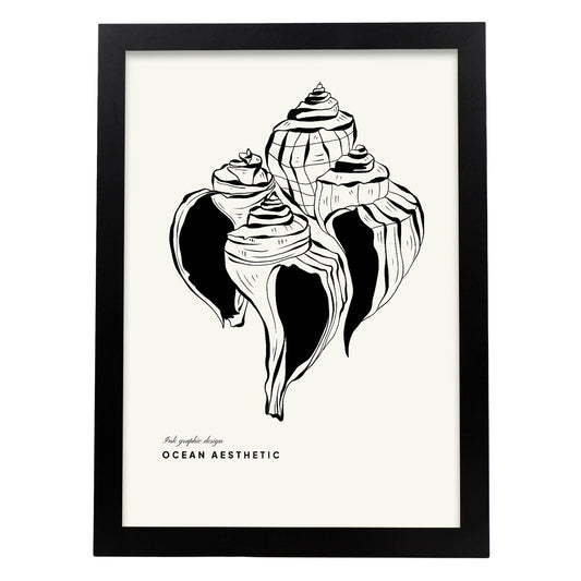 Group of Crown conch-Artwork-Nacnic-A3-Sin marco-Nacnic Estudio SL