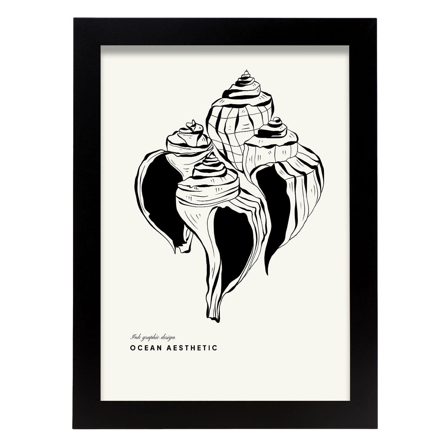 Group of Crown conch-Artwork-Nacnic-A4-Sin marco-Nacnic Estudio SL
