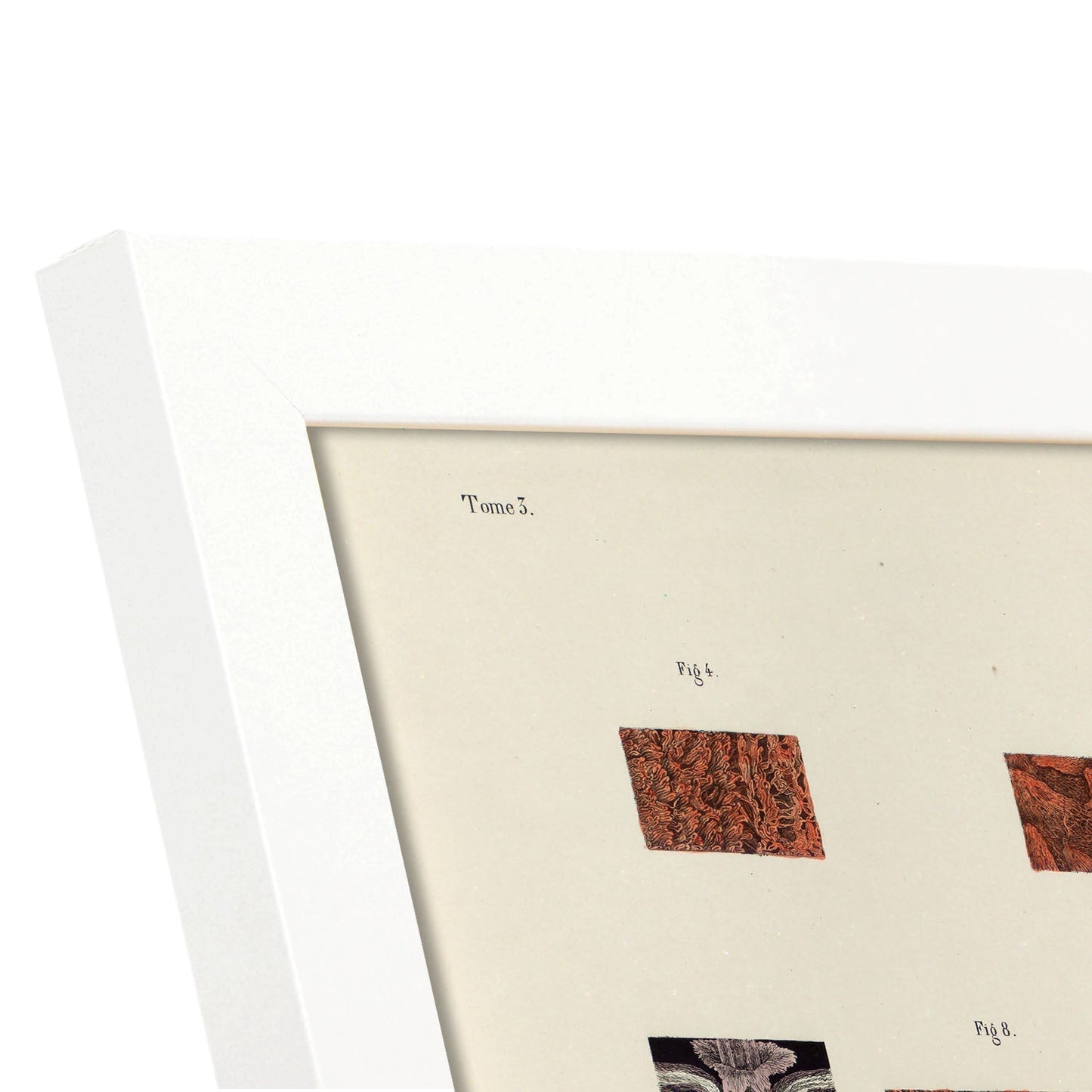 Hair follicles and sebaceous glands-Artwork-Nacnic-Nacnic Estudio SL