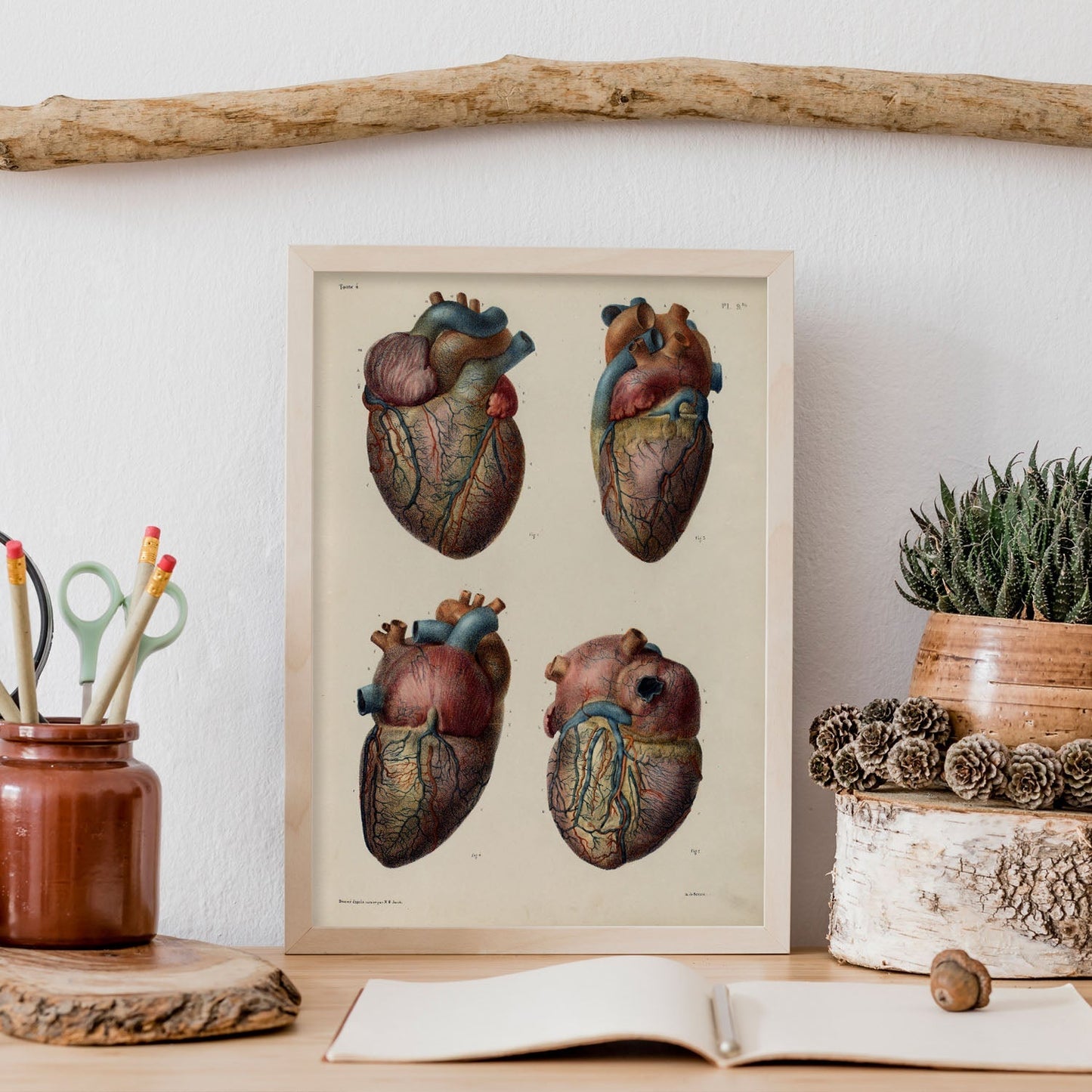 Heart and coronary arteries and veins-Artwork-Nacnic-Nacnic Estudio SL