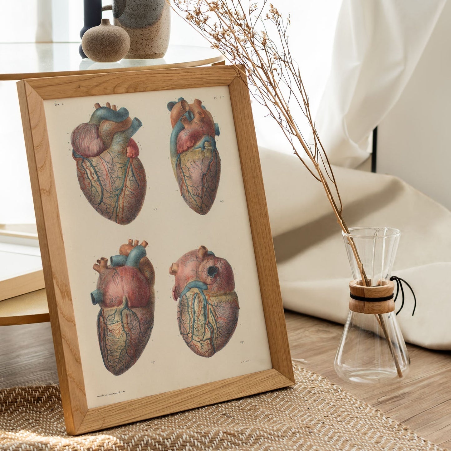 Heart and coronary arteries and veins-Artwork-Nacnic-Nacnic Estudio SL
