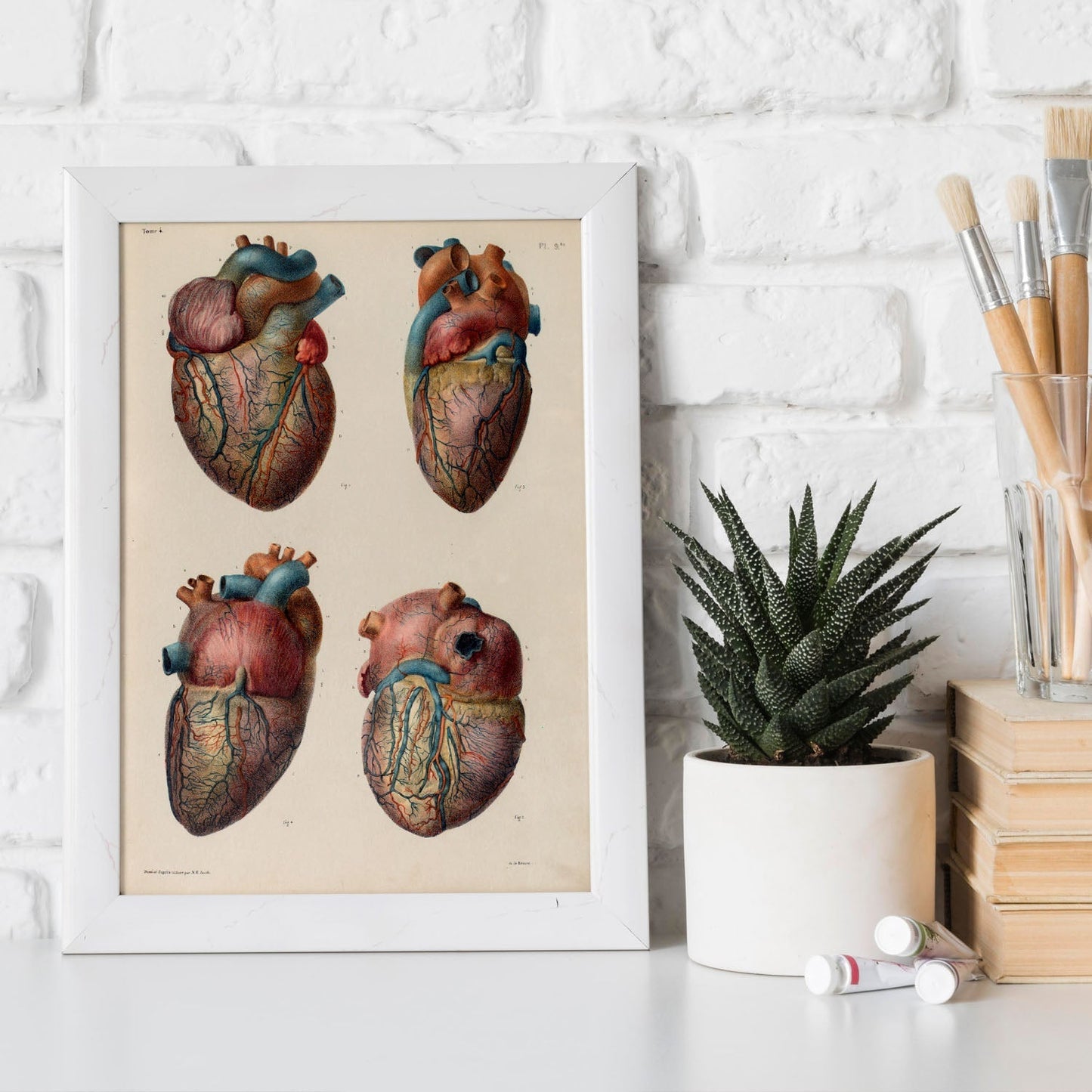 Heart and coronary arteries and veins-Artwork-Nacnic-Nacnic Estudio SL