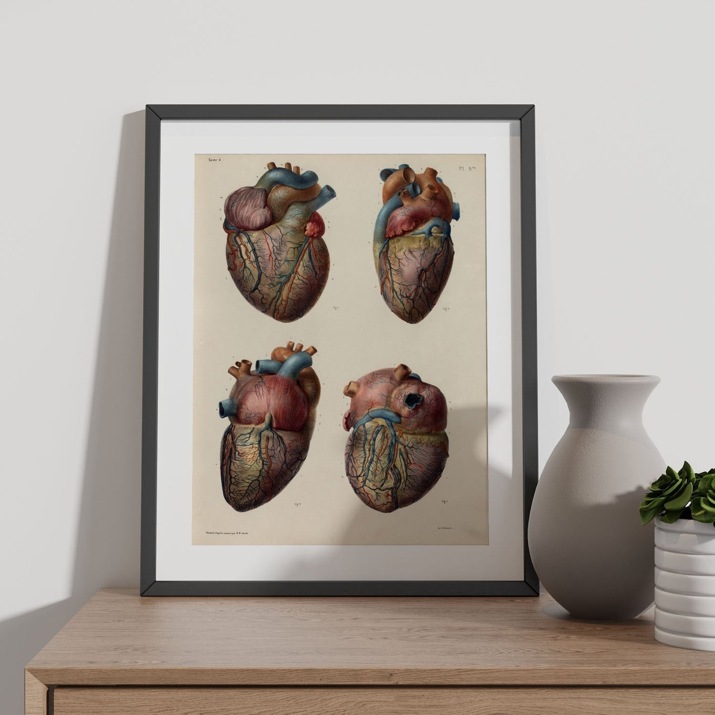 Heart and coronary arteries and veins-Artwork-Nacnic-Nacnic Estudio SL