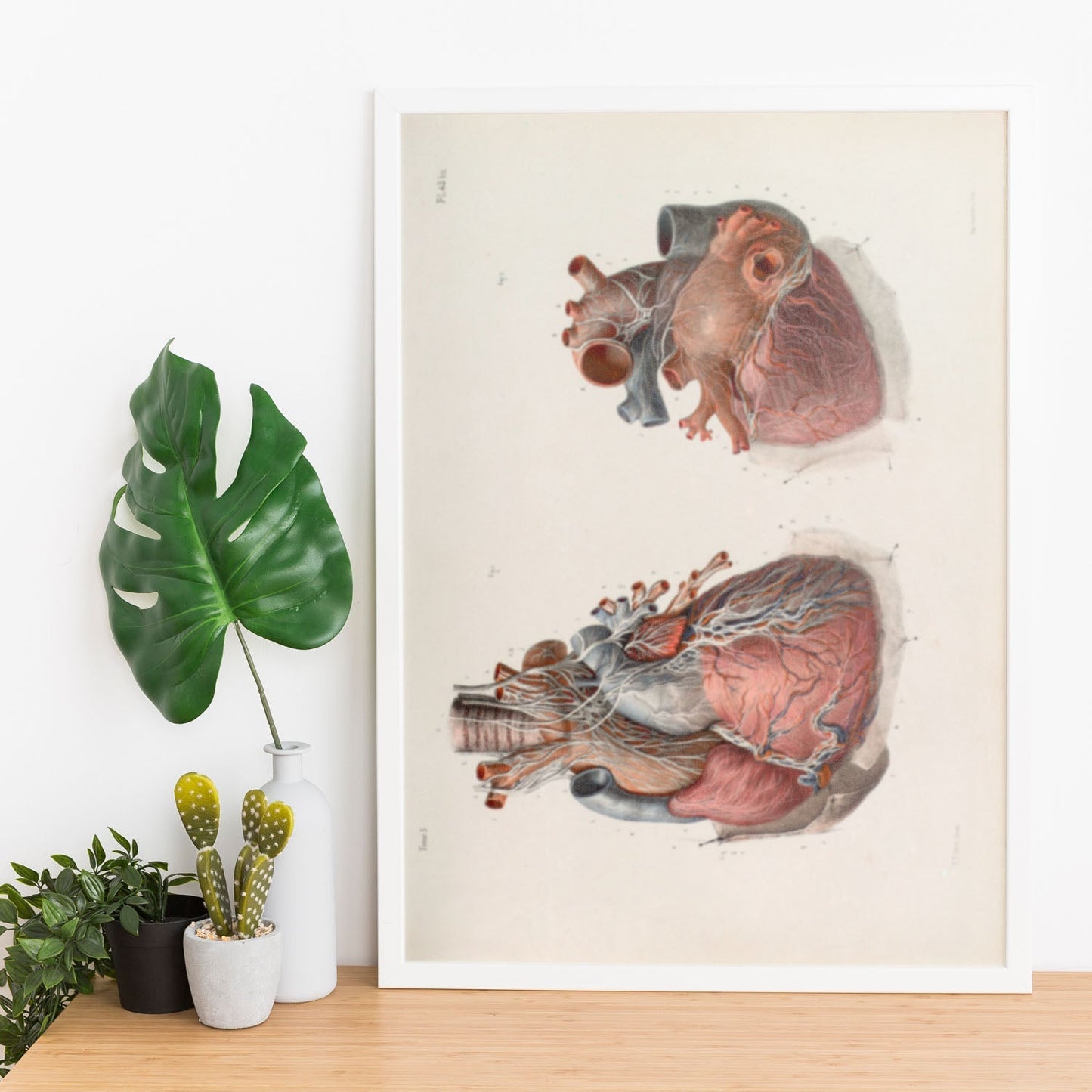 Heart and vagus nerve-Artwork-Nacnic-Nacnic Estudio SL