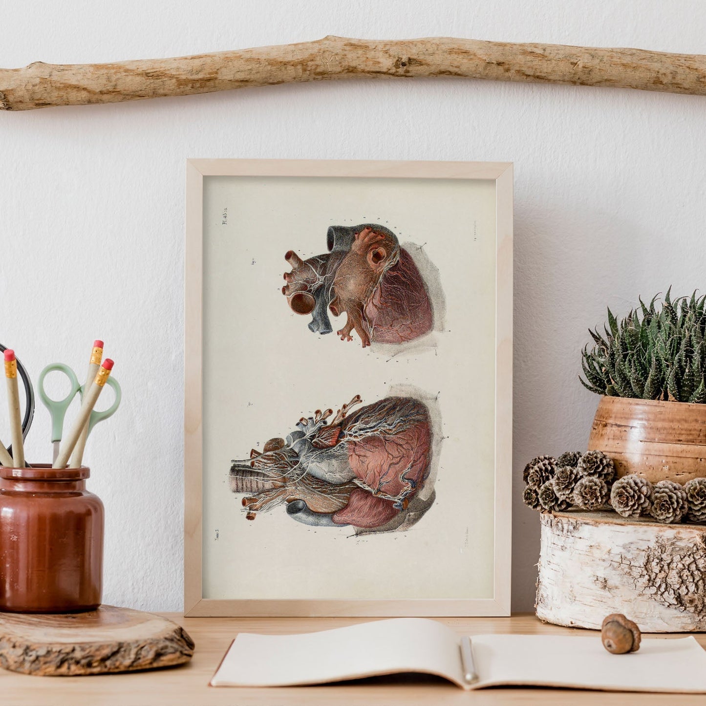 Heart and vagus nerve-Artwork-Nacnic-Nacnic Estudio SL