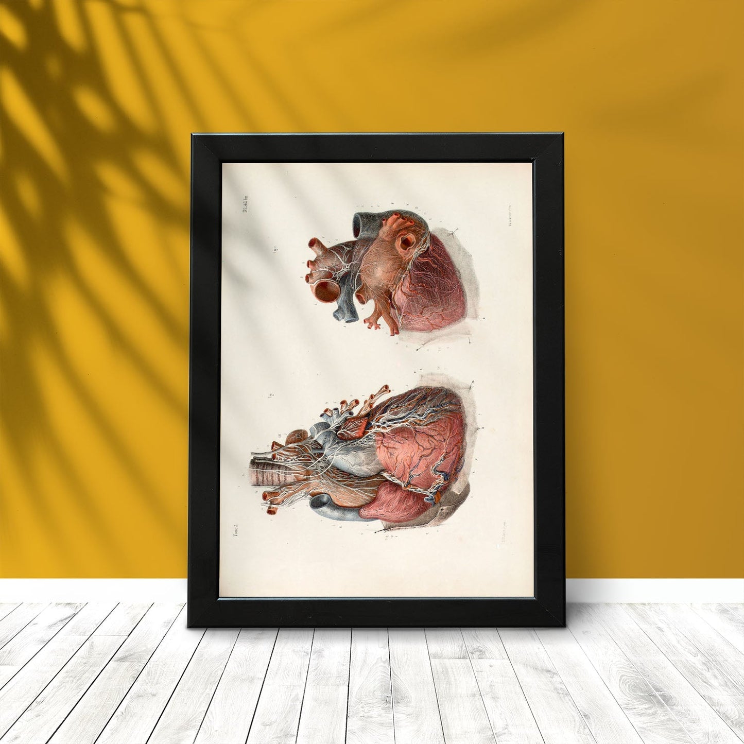 Heart and vagus nerve-Artwork-Nacnic-Nacnic Estudio SL
