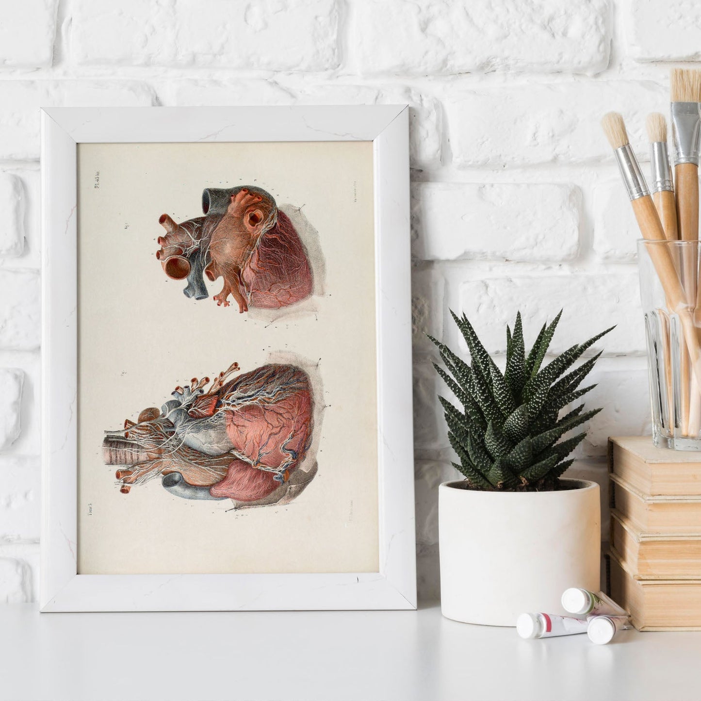 Heart and vagus nerve-Artwork-Nacnic-Nacnic Estudio SL