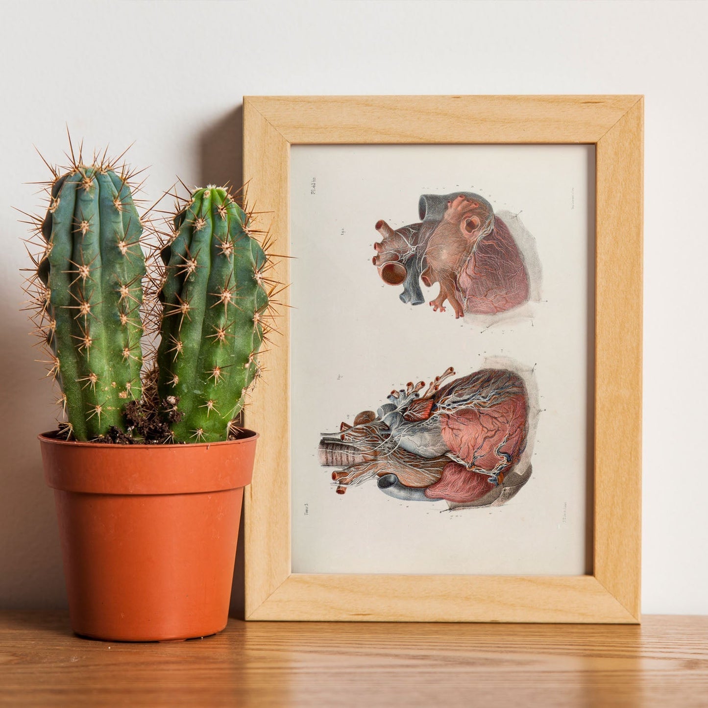 Heart and vagus nerve-Artwork-Nacnic-Nacnic Estudio SL