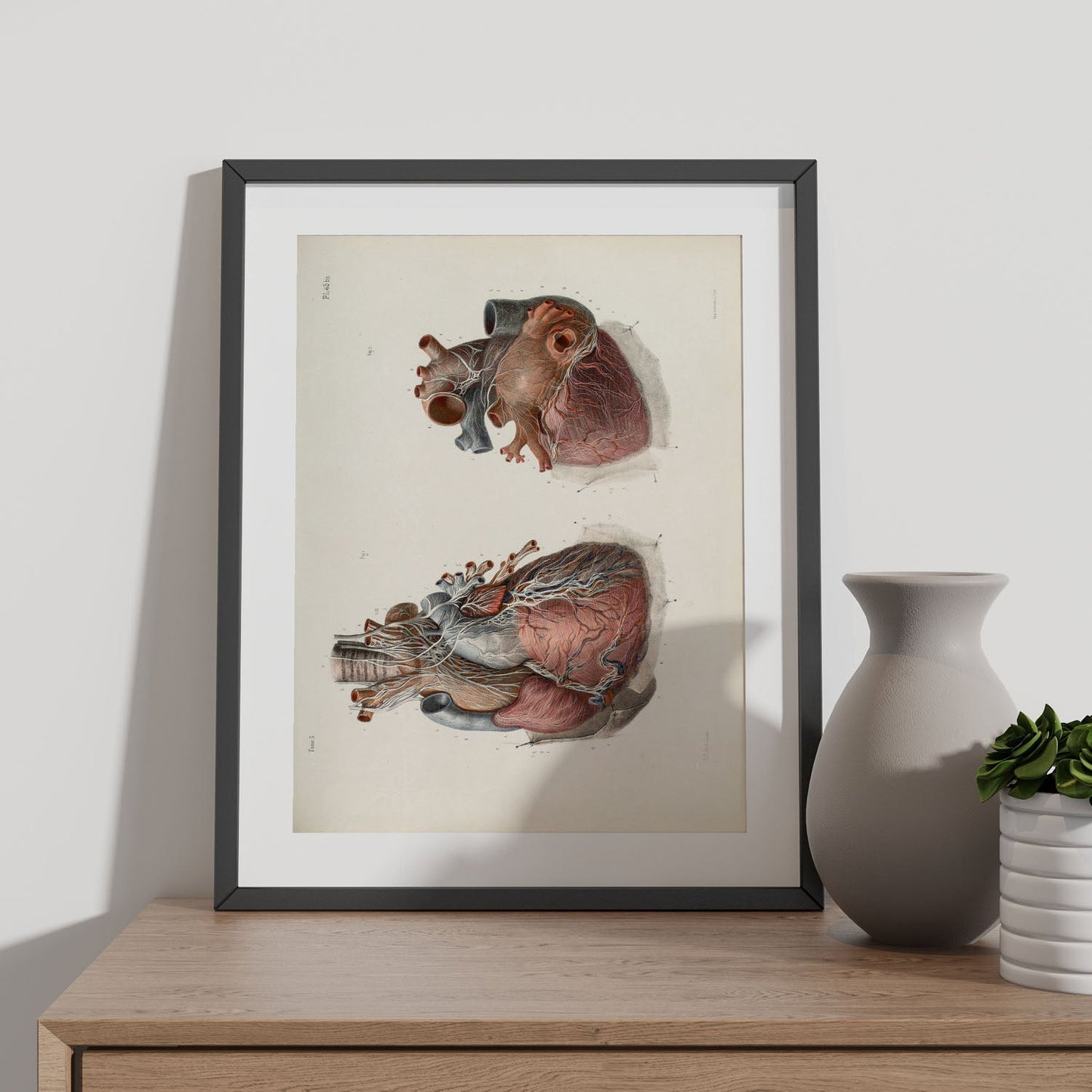 Heart and vagus nerve-Artwork-Nacnic-Nacnic Estudio SL