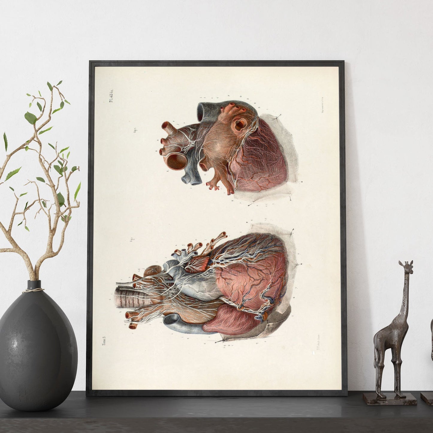 Heart and vagus nerve-Artwork-Nacnic-Nacnic Estudio SL