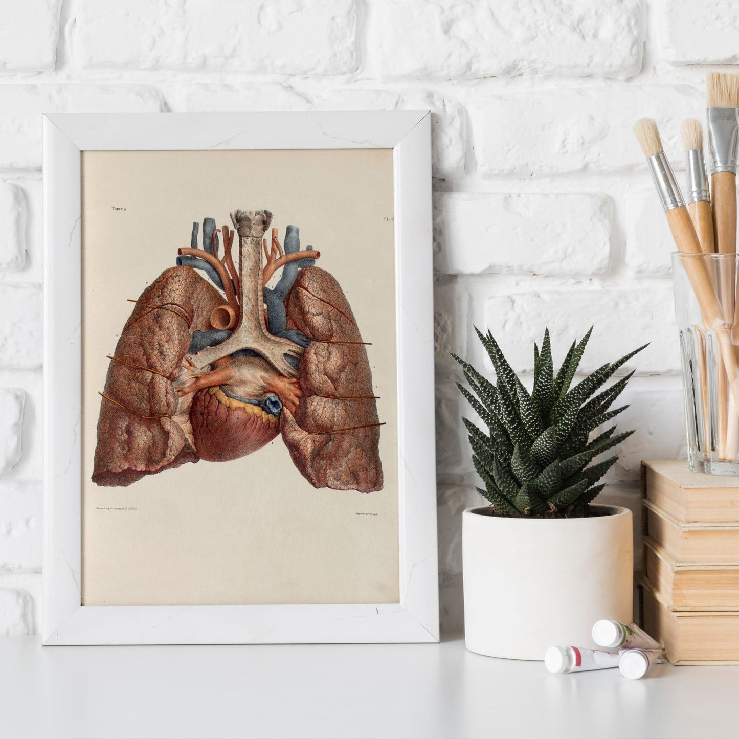 Heart, lungs, trachea and laryngeal cartilages-Artwork-Nacnic-Nacnic Estudio SL