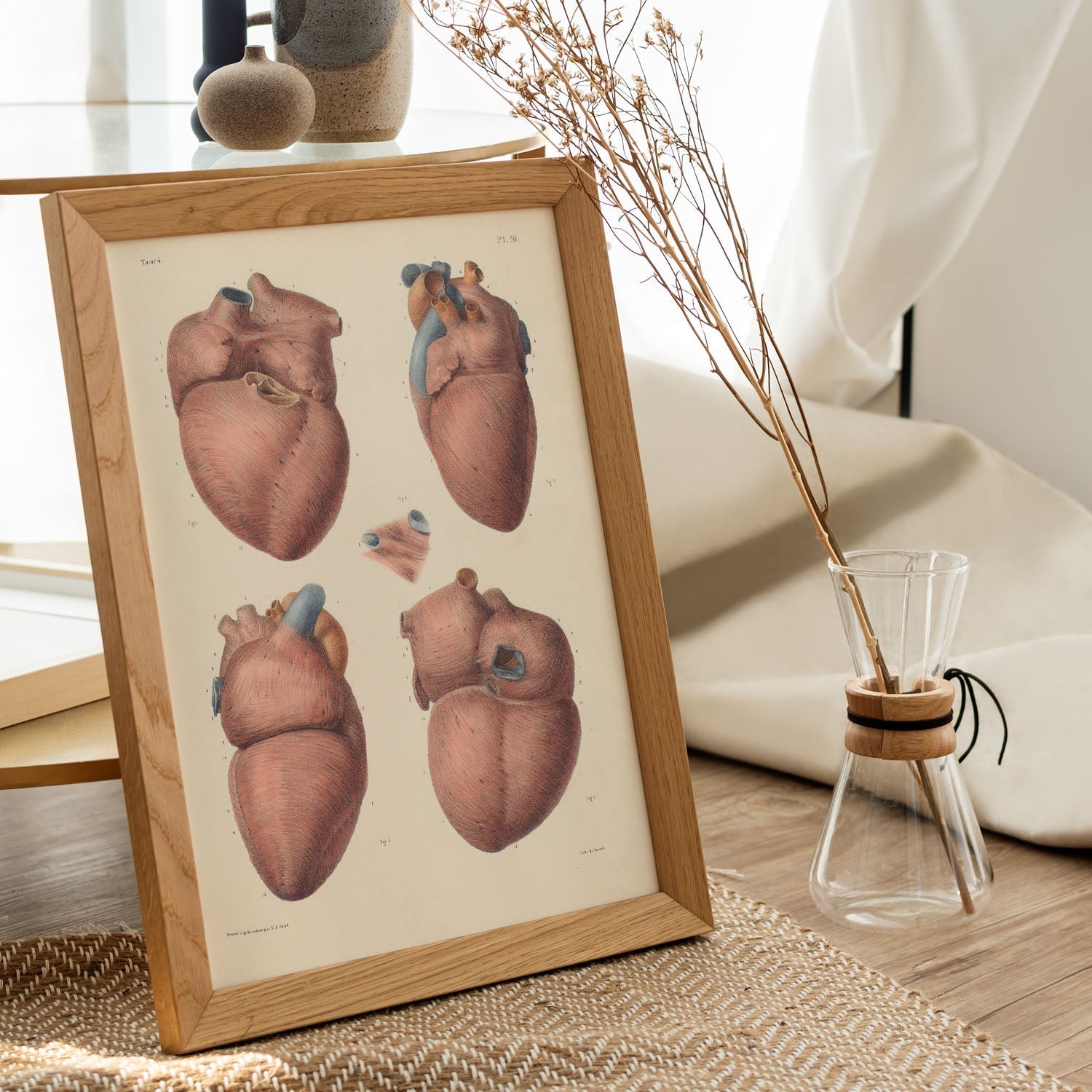 Heart, myocardium-Artwork-Nacnic-Nacnic Estudio SL