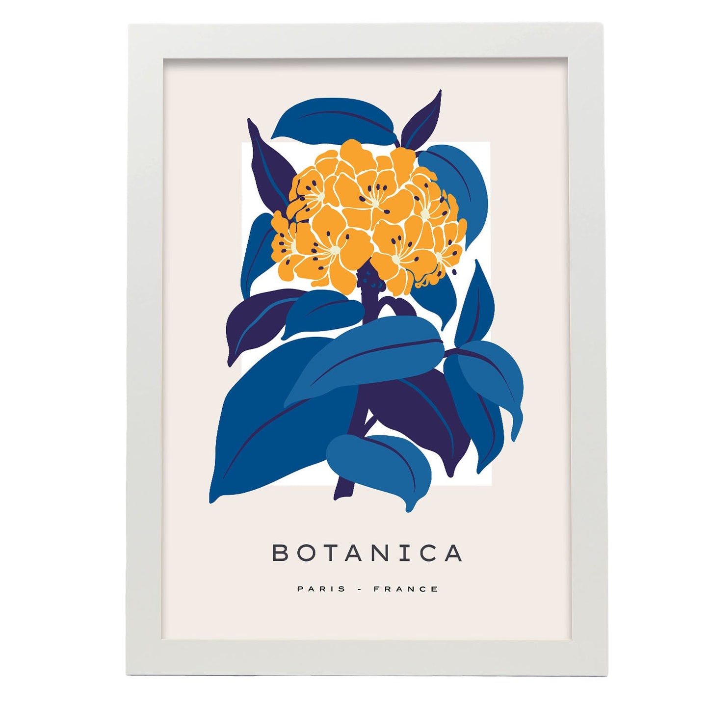 Hydrangea-Artwork-Nacnic-A3-Marco Blanco-Nacnic Estudio SL