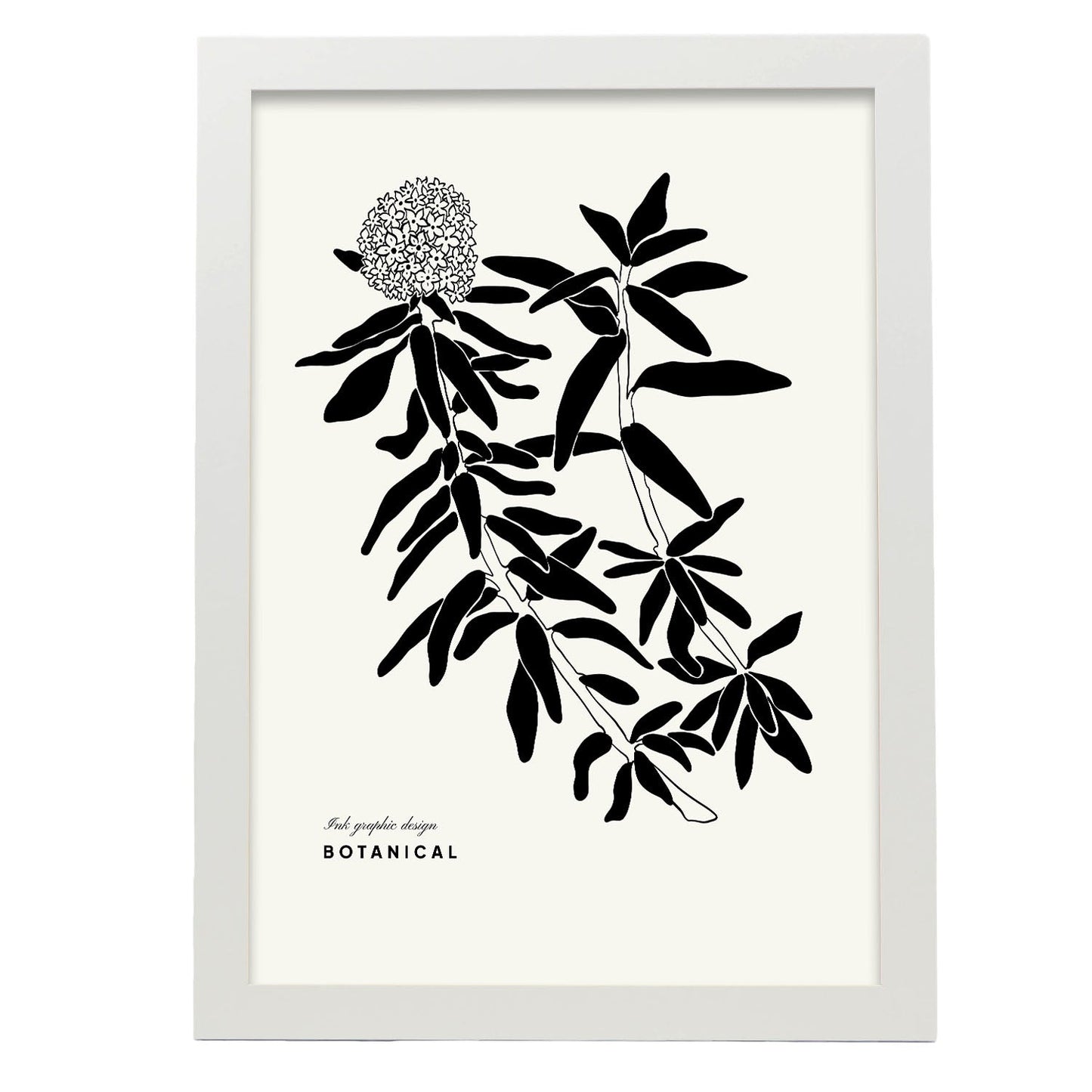 Hydrangea-Artwork-Nacnic-A3-Marco Blanco-Nacnic Estudio SL