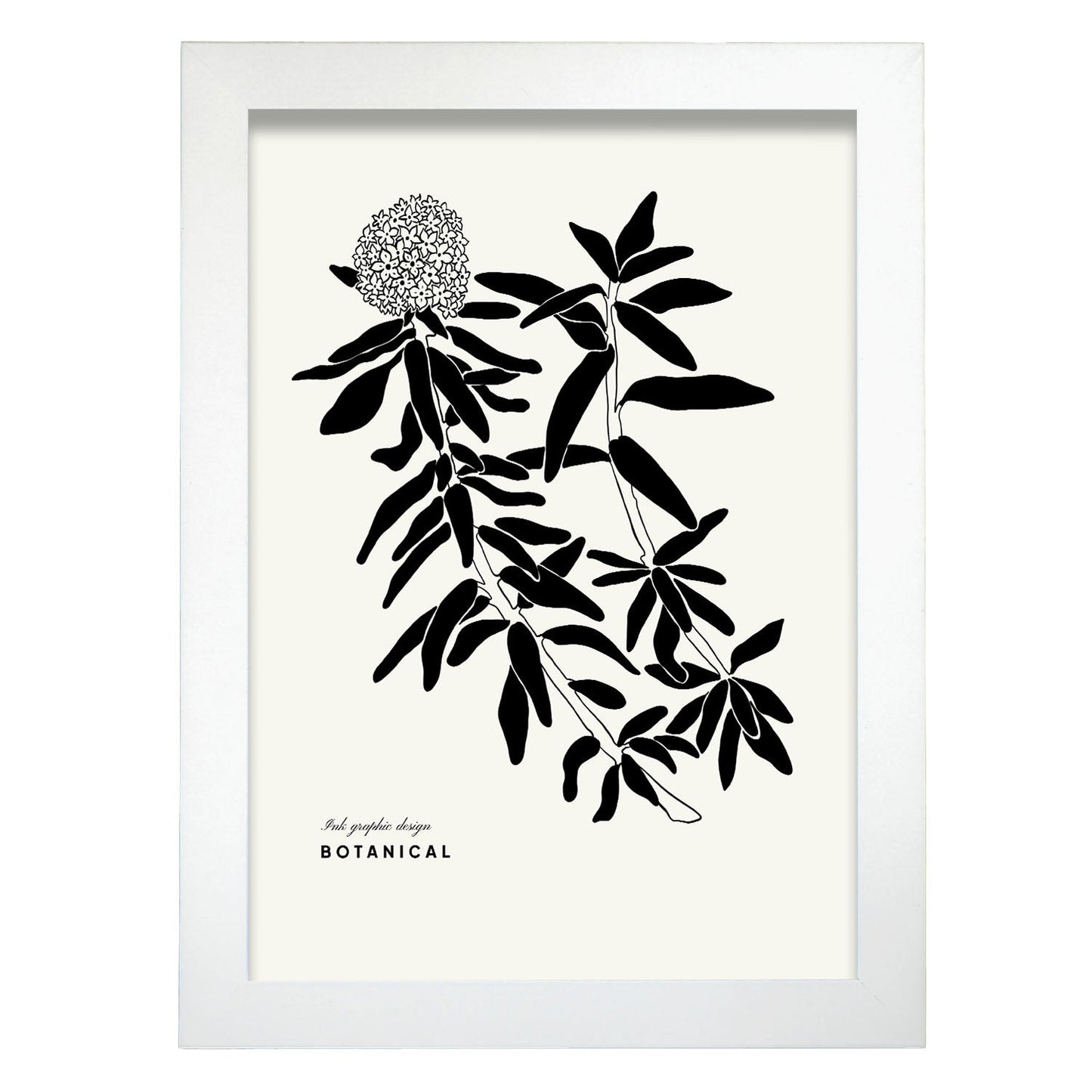 Hydrangea-Artwork-Nacnic-A4-Marco Blanco-Nacnic Estudio SL