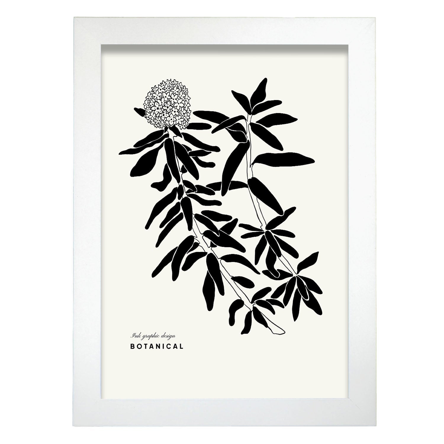 Hydrangea-Artwork-Nacnic-A4-Marco Blanco-Nacnic Estudio SL