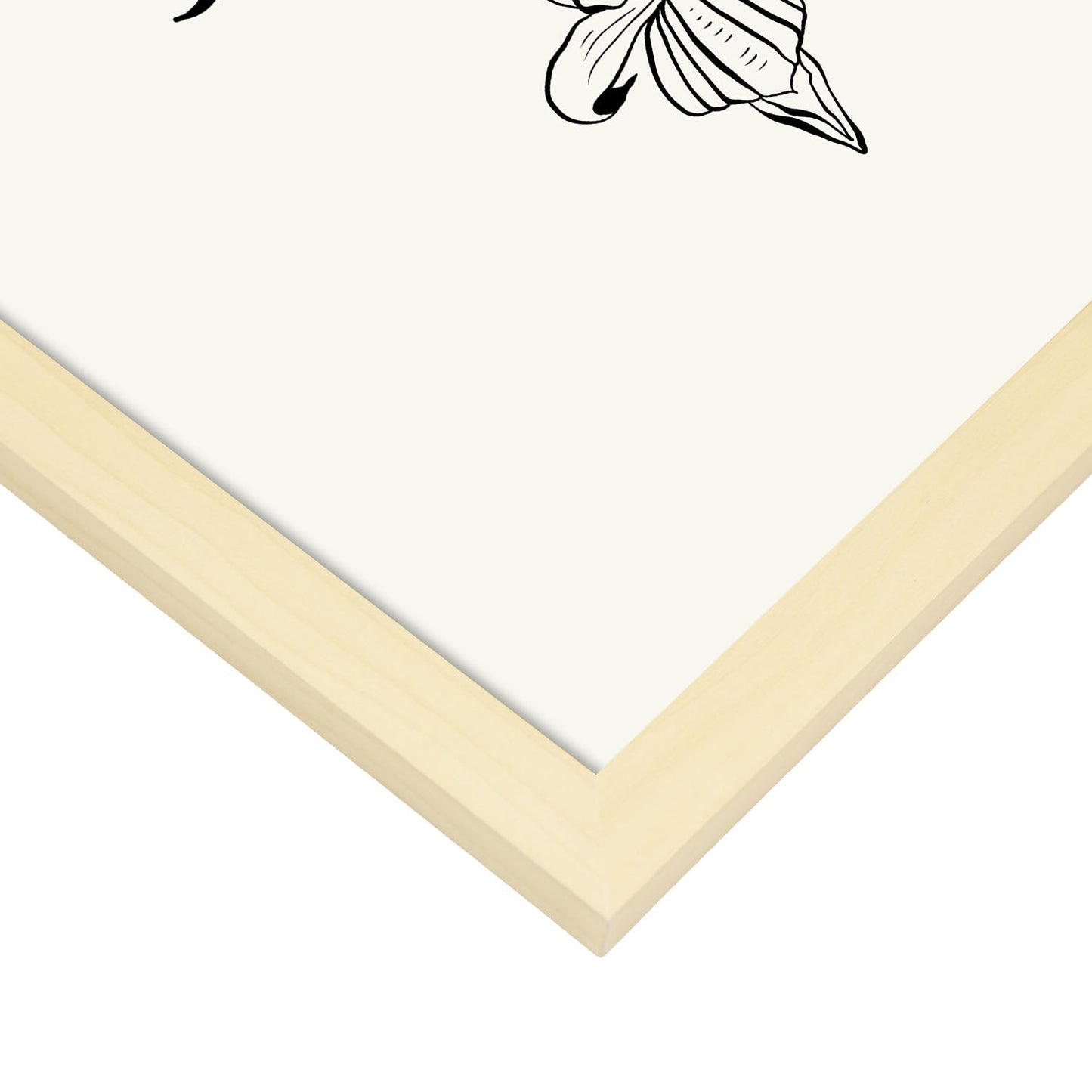 Iris-Artwork-Nacnic-Nacnic Estudio SL