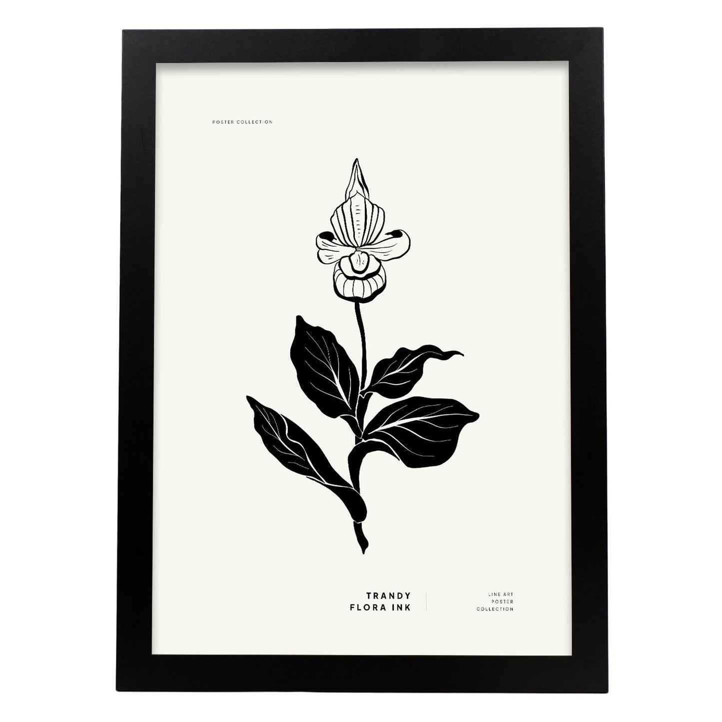 Iris-Artwork-Nacnic-A3-Sin marco-Nacnic Estudio SL