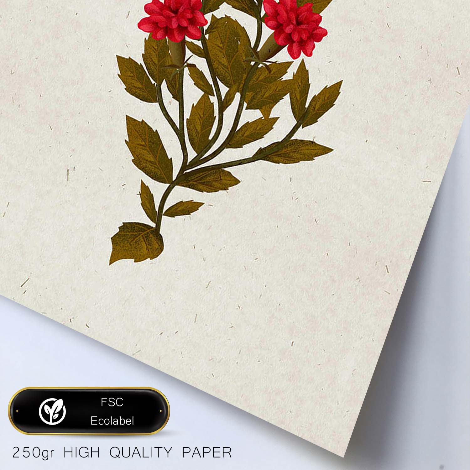 Lámina Arbusto 10. Pósters de plantas,flores y arbustos en estilo Vintage.-Artwork-Nacnic-Nacnic Estudio SL