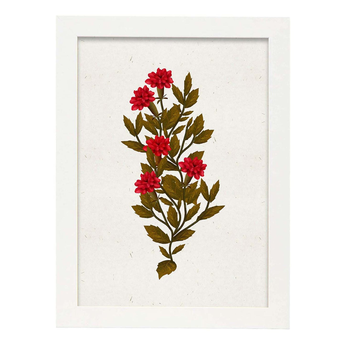 Lámina Arbusto 10. Pósters de plantas,flores y arbustos en estilo Vintage.-Artwork-Nacnic-A3-Marco Blanco-Nacnic Estudio SL
