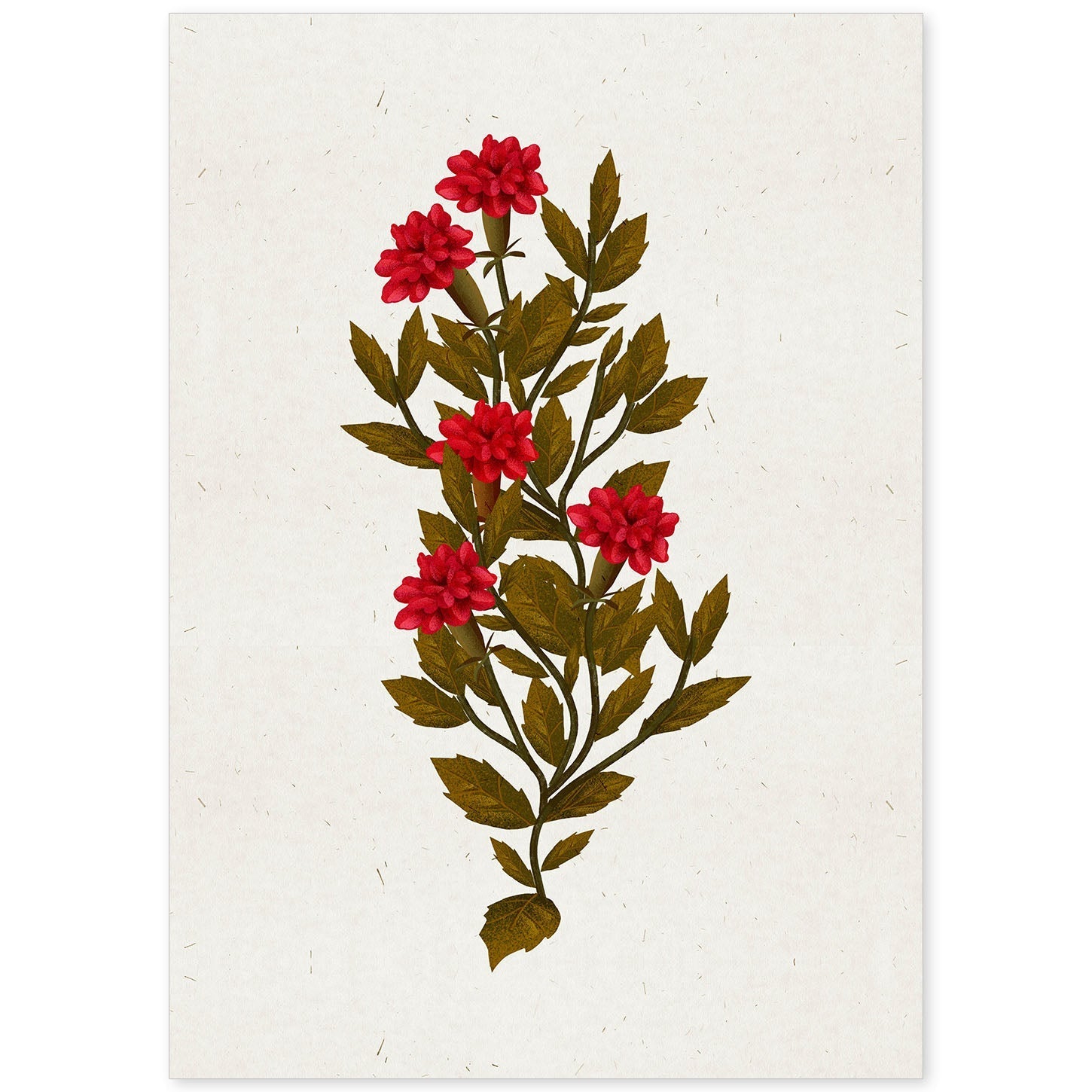 Lámina Arbusto 10. Pósters de plantas,flores y arbustos en estilo Vintage.-Artwork-Nacnic-A4-Sin marco-Nacnic Estudio SL