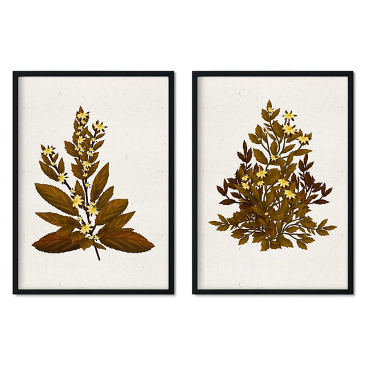 Lámina Arbusto 13. Pósters de plantas,flores y arbustos en estilo Vintage.-Artwork-Nacnic-Nacnic Estudio SL
