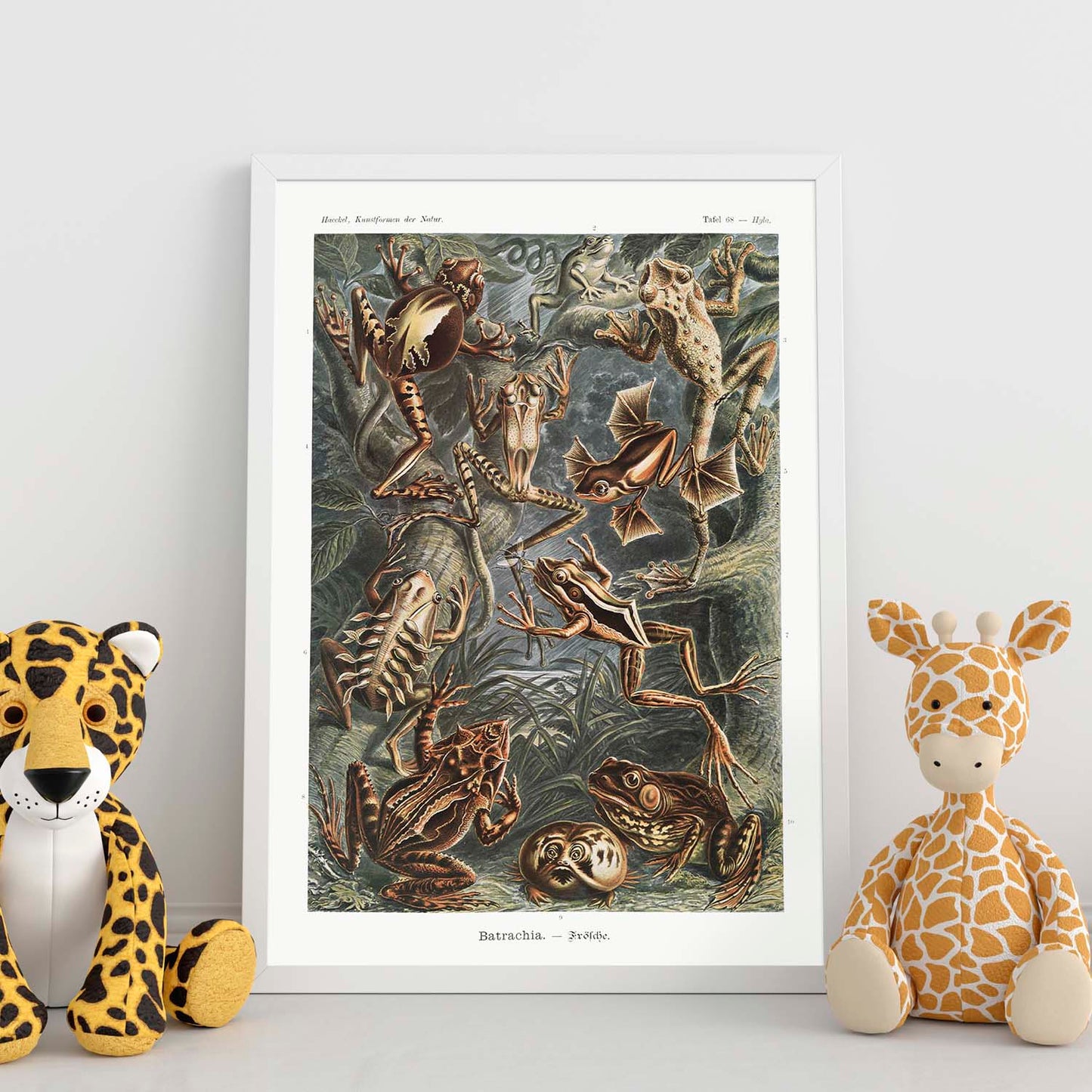 Lamina artistica decorativa con ilustración de Batrachia estilo Vintage-Artwork-Nacnic-Nacnic Estudio SL