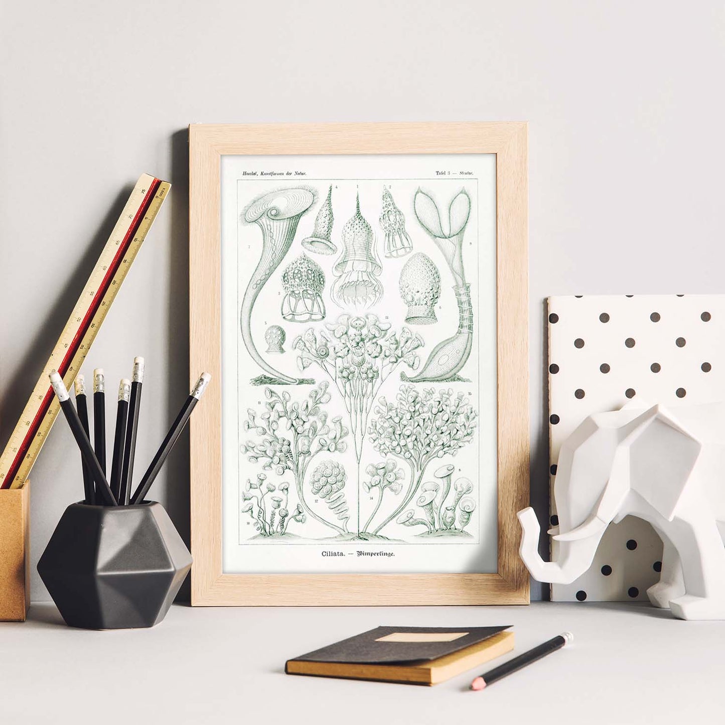 Lamina artistica decorativa con ilustración de Ciliata estilo Vintage-Artwork-Nacnic-Nacnic Estudio SL