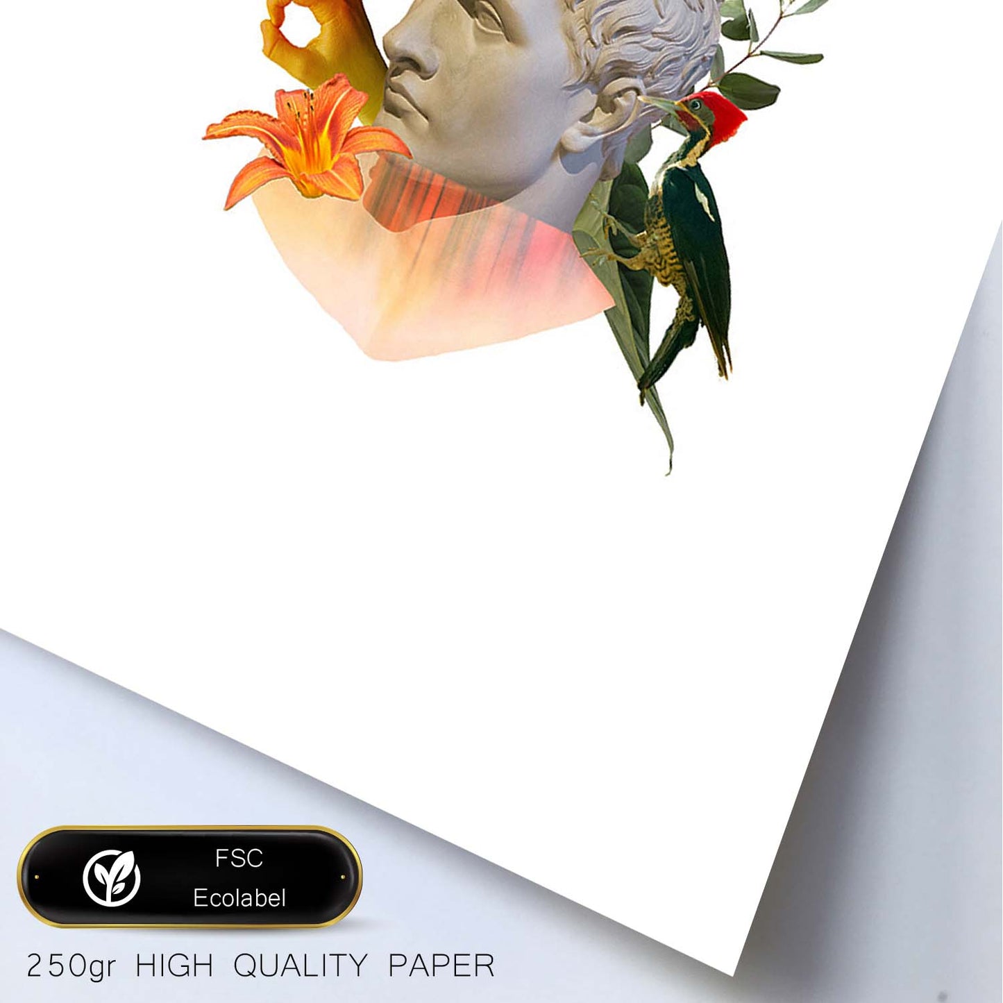 Lamina artistica decorativa con ilustración de Collage 14 estilo Collage-Artwork-Nacnic-Nacnic Estudio SL