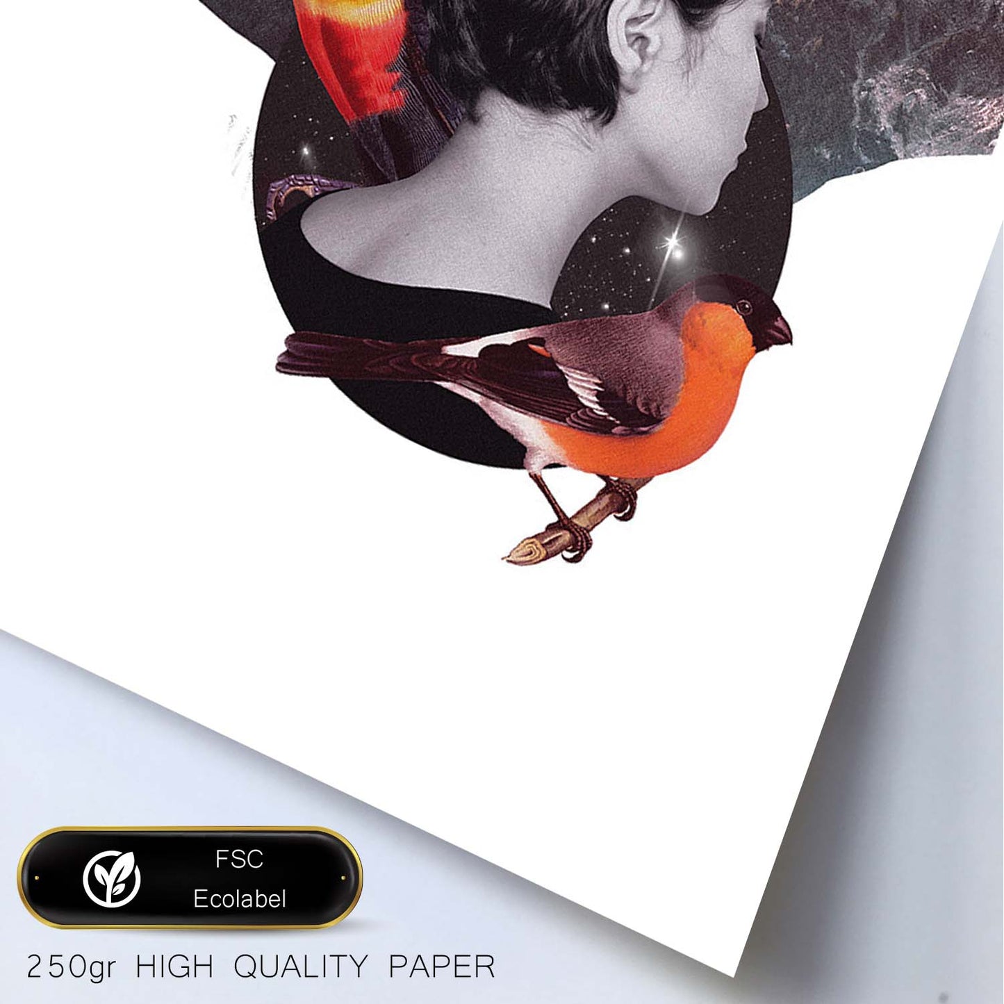 Lamina artistica decorativa con ilustración de Collage 2 estilo Collage-Artwork-Nacnic-Nacnic Estudio SL