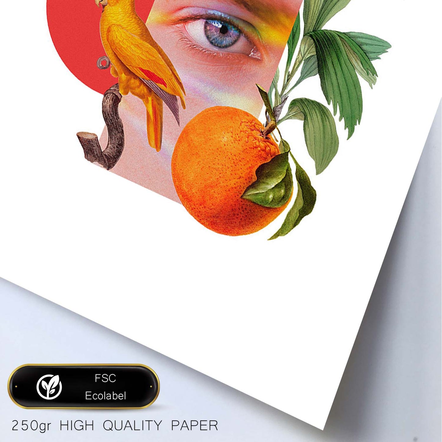 Lamina artistica decorativa con ilustración de Collage 3 estilo Collage-Artwork-Nacnic-Nacnic Estudio SL