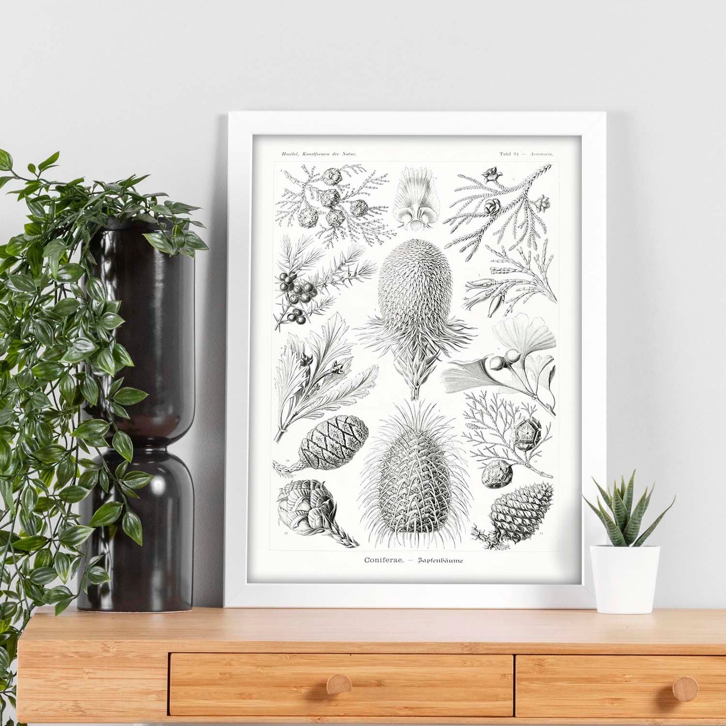 Lamina artistica decorativa con ilustración de Coniferae estilo Vintage-Artwork-Nacnic-Nacnic Estudio SL