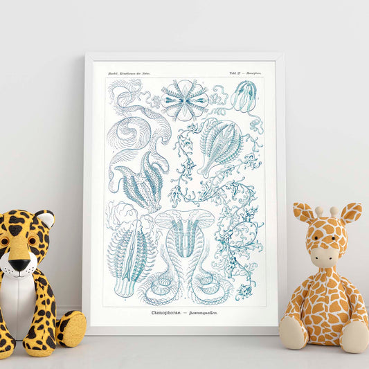 Lamina artistica decorativa con ilustración de Ctenophorae estilo Vintage-Artwork-Nacnic-Nacnic Estudio SL