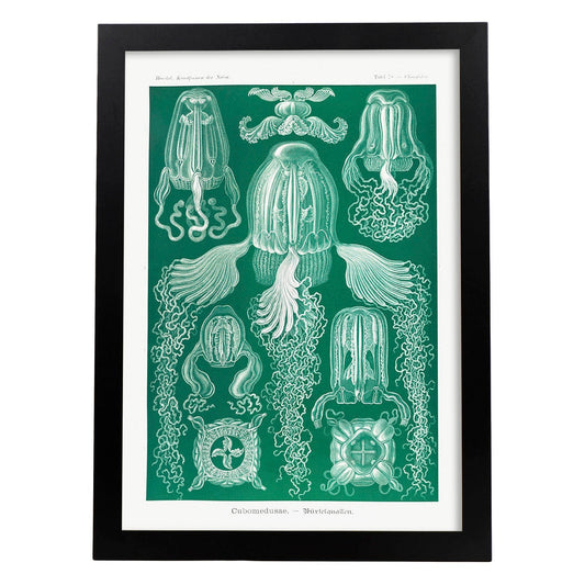 Lamina artistica decorativa con ilustración de Cubomedusae estilo Vintage-Artwork-Nacnic-A4-Marco Negro-Nacnic Estudio SL