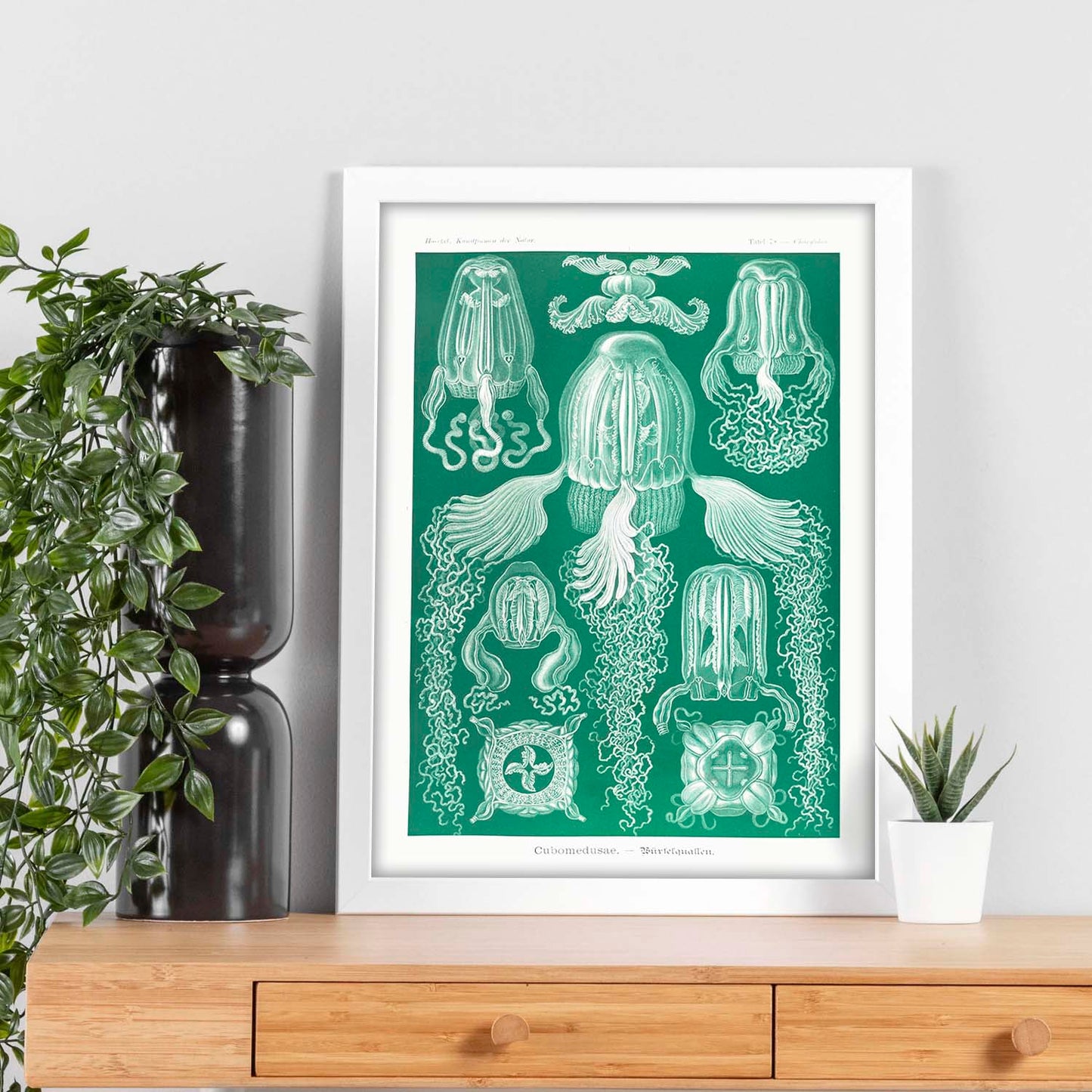 Lamina artistica decorativa con ilustración de Cubomedusae estilo Vintage-Artwork-Nacnic-Nacnic Estudio SL